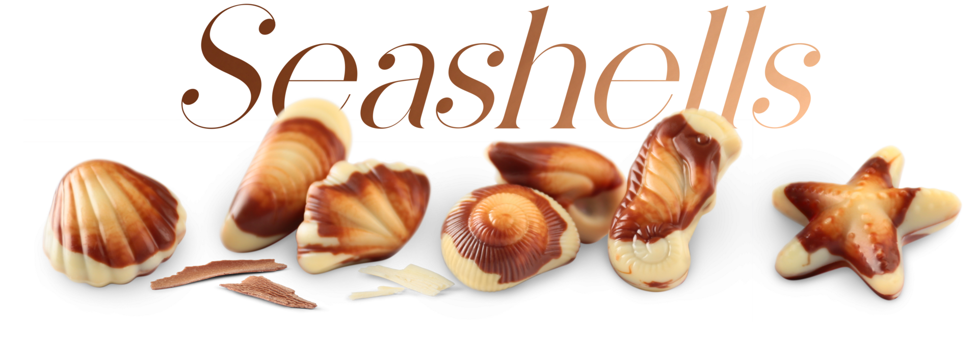 LIMAR_All Year_sfeer sea shells+text