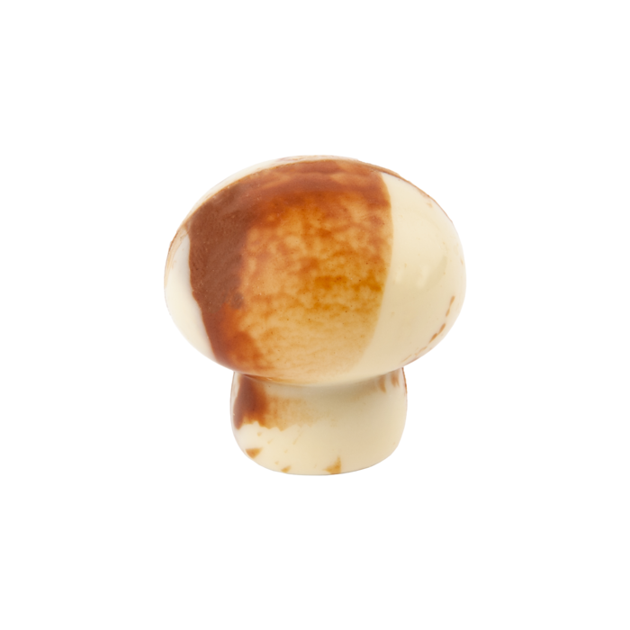 Champignon WIT deco praliné crisp Champignon WIT deco praliné crisp