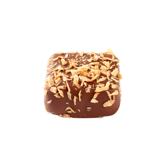 Leuven MILK hazelnut filling with roasted coconut Leuven MILK hazelnut filling with roasted coconut
