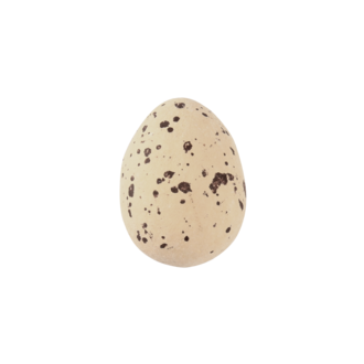 Speckled eggs brown