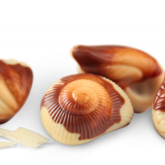 ZEEVRUCHTEN_Sfeer